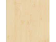 Samoljepljiva folija Breza 200-2875 d-c-fix, širina 45 cm