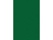 Samoljepljiva folija Baršvnasta zelena 205-1716 d-c-fix, širina 45 cm Dekori