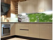 Samoljepljiva foto tapeta za kuhinje Maslačak KI-260-012, 260x60 cm Samoljepljive - Za kuhinje