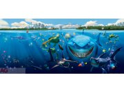Flis foto tapeta AG Nemo i morski pas FTDNH-5313 | 202x90 cm Foto tapete