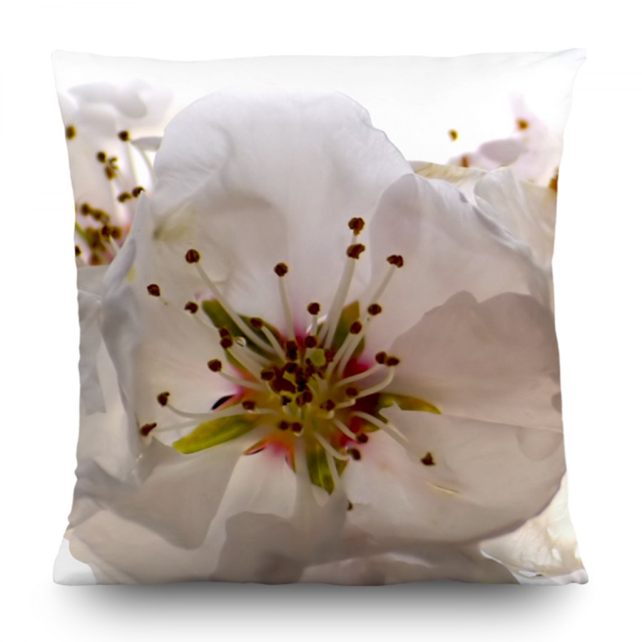 Dekorativni jastuk Cvijet jabuke CN-3606, 45 x 45 cm - Dekoriativni jastuci