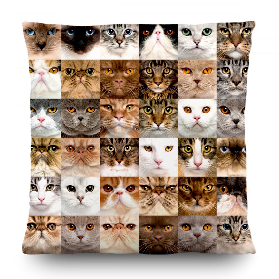 Dekorativni jastuk Mačke CN-3615, 45 x 45 cm - Dekoriativni jastuci