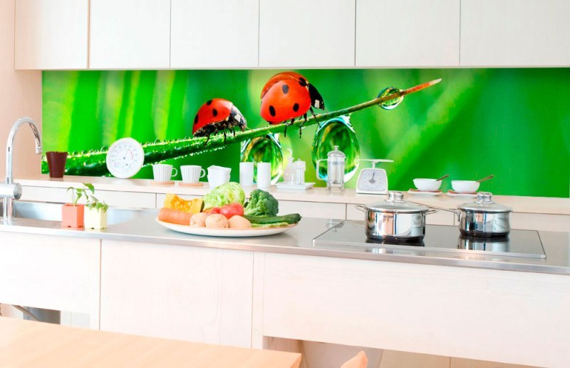 Samoljepljive - Za kuhinje - Samoljepljiva foto tapeta za kuhinje Ladybird KI-350-015 | 350x60 cm Samoljepljiva foto tapeta za kuhinje Ladybird KI-350-015 | 350x60 cm - Za kuhinje