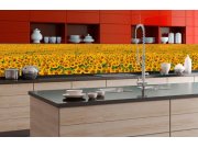 Samoljepljiva foto tapeta za kuhinje Svncokreti KI-350-030 | 350x60 cm Samoljepljive - Za kuhinje