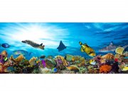 Panoramska flis foto tapeta Ribe u oceanu MP20216 | 375 x 150 cm