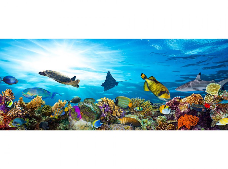 Panoramska flis foto tapeta Ribe u oceanu MP20216 | 375 x 150 cm - Foto tapete