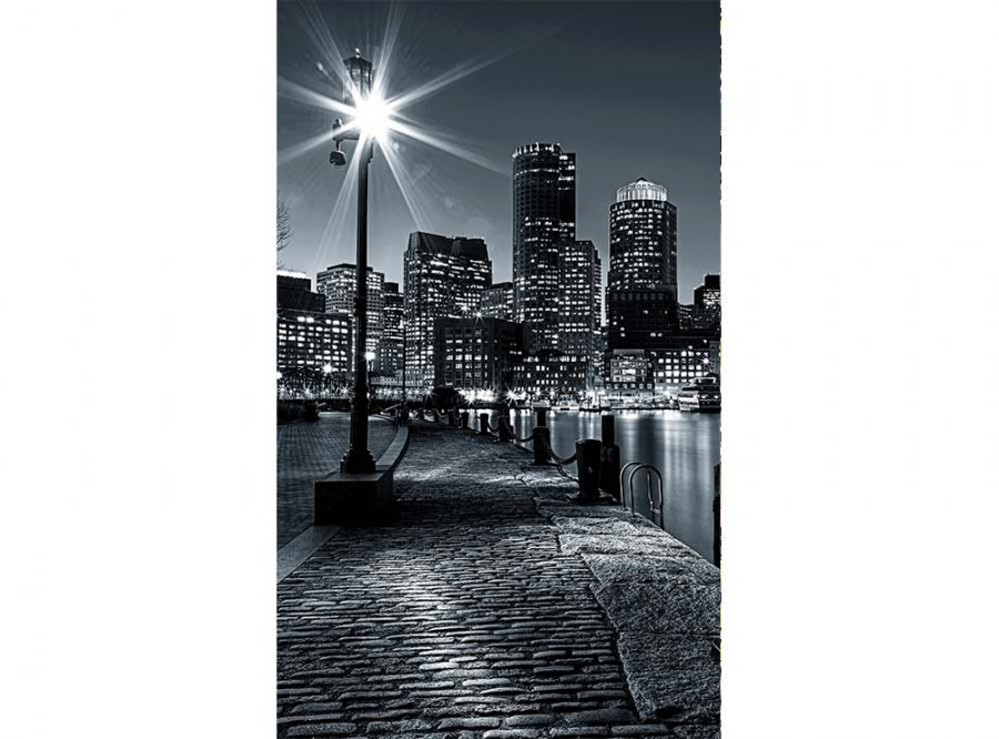 Flis foto tapeta Boston MS20016 | 150x250 cm - Od flisa