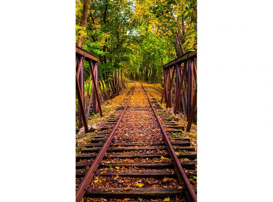 Flis foto tapeta Željeznica u šumi MS20055 | 150x250 cm - Od flisa