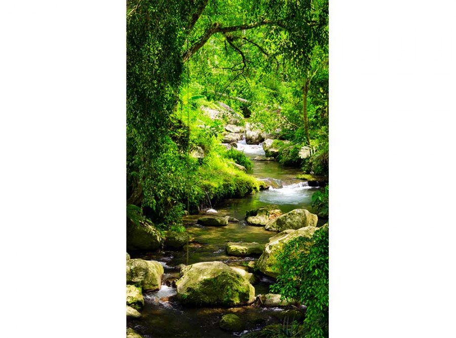 Flis foto tapeta Planinski potok MS20079 | 150x250 cm - Od flisa