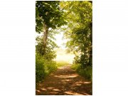 Flis foto tapeta Šumska staza MS20093 | 150x250 cm Od flisa
