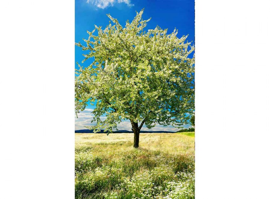 Flis foto tapeta Stablo na lovca MS20096 | 150x250 cm - Od flisa