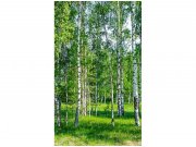 Flis foto tapeta Brezov lug MS20100 | 150x250 cm Od flisa