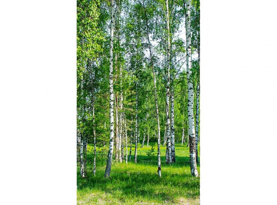 Flis foto tapeta Brezov lug MS20100 | 150x250 cm - Od flisa