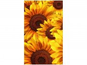 Flis foto tapeta Polje suncokreta MS20129 | 150x250 cm Od flisa