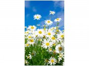 Flis foto tapeta Tratinčice MS20135 | 150x250 cm Od flisa