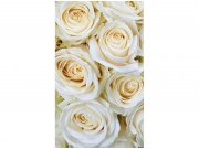 Flis foto tapeta Bijele ruže MS20137 | 150x250 cm Od flisa