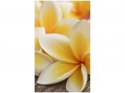 Flis foto tapeta Frangipani MS20140 | 150x250 cm Od flisa