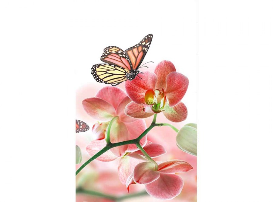 Flis foto tapeta Leptiri i orhideje MS20146 | 150x250 cm - Od flisa