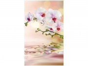 Flis foto tapeta Bijela orhideja MS20147 | 150x250 cm Od flisa