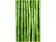 Flis foto tapeta Bambus MS20165 | 150x250 cm Od flisa