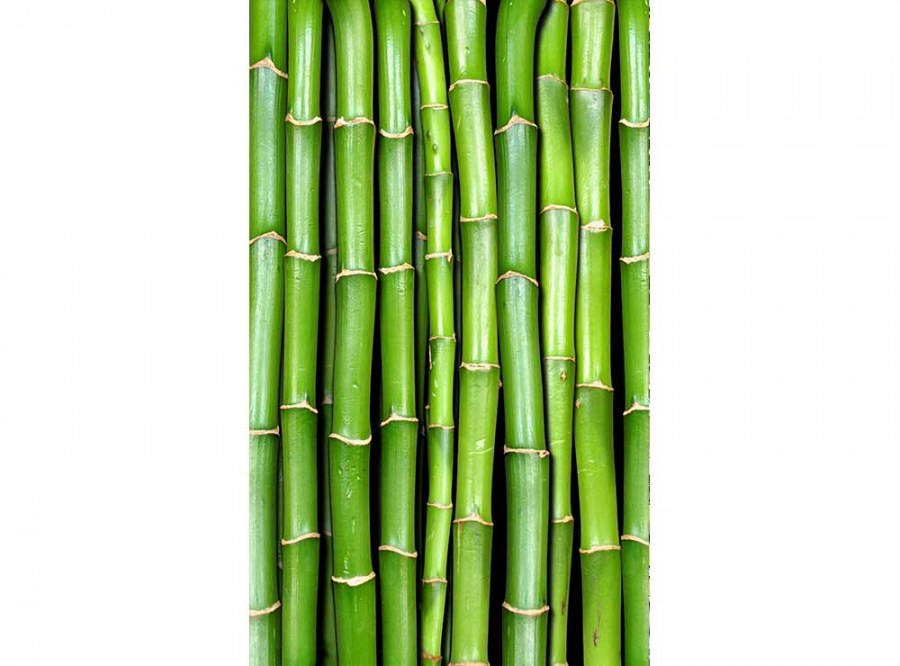 Flis foto tapeta Bambus MS20165 | 150x250 cm - Od flisa