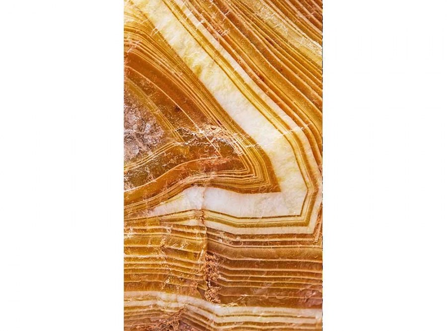 Flis foto tapeta Ahat MS20180 | 150x250 cm - Od flisa