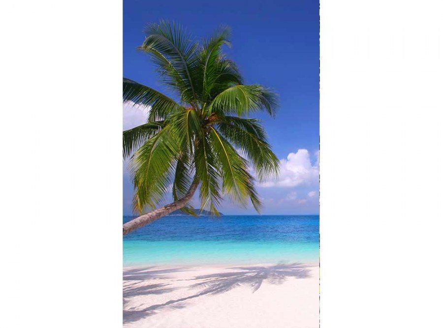 Flis foto tapeta Plaža sa palmama MS20194 | 150x250 cm - Od flisa