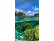 Flis foto tapeta Koraljni greben MS20200 | 150x250 cm Od flisa