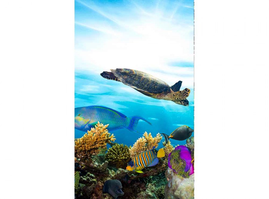 Flis foto tapeta Ribe u oceanu MS20216 | 150x250 cm - Od flisa