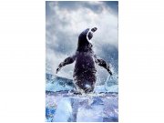 Flis foto tapeta Pingvin MS20219 | 150x250 cm