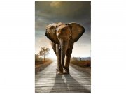Flis foto tapeta Hodajući slon MS20225 | 150x250 cm