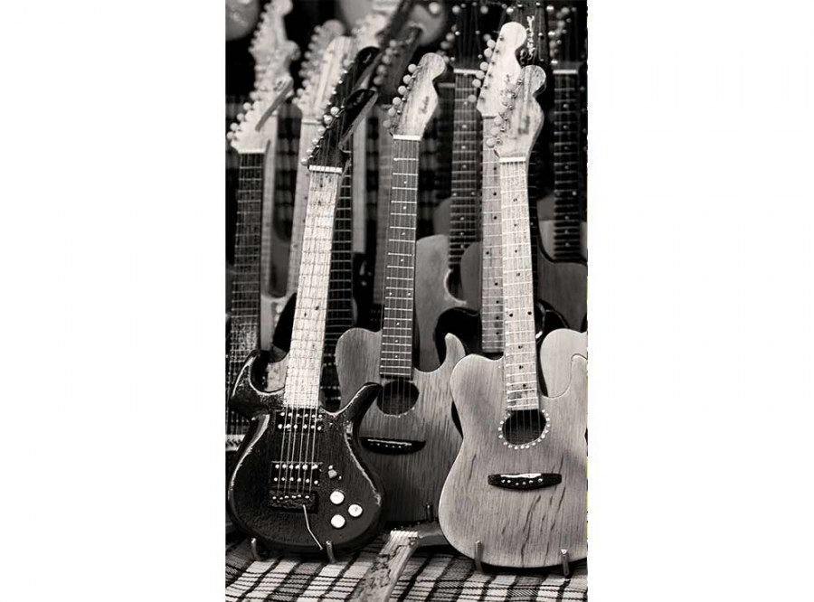 Flis foto tapeta Kolekcija gitara MS20303 | 150x250 cm - Od flisa