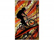 Flis foto tapeta Crveni bicikl MS20327 | 150x250 cm Od flisa
