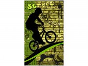 Flis foto tapeta Zeleni bicikl MS20328 | 150x250 cm Od flisa