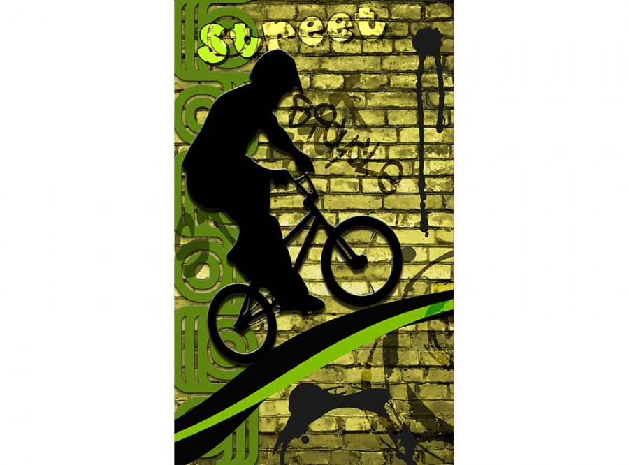 Flis foto tapeta Zeleni bicikl MS20328 | 150x250 cm - Od flisa