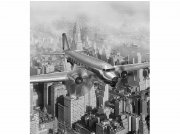 Flis foto tapeta Avion iznad grada MS30006 | 225x250 cm Od flisa