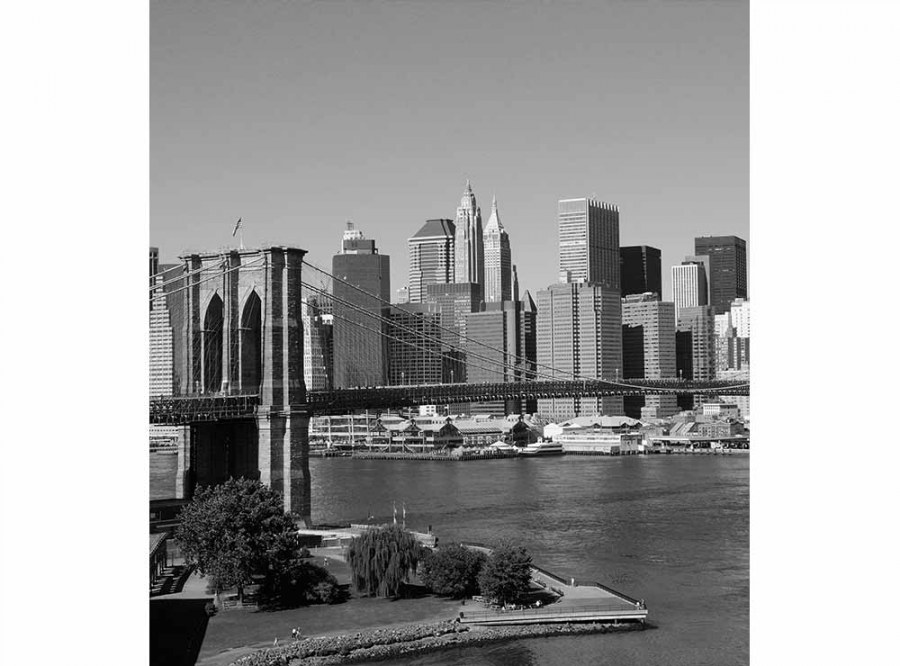 Flis foto tapeta Manhattan u sivoj boji MS30010 | 225x250 cm - Od flisa
