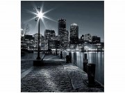 Flis foto tapeta Boston MS30016 | 225x250 cm Od flisa