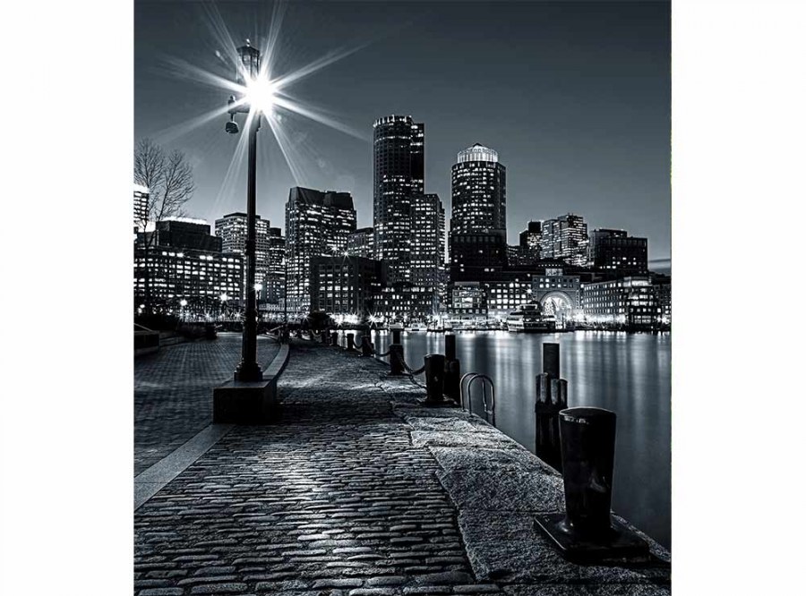 Flis foto tapeta Boston MS30016 | 225x250 cm - Od flisa