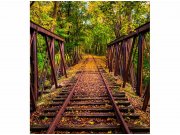 Flis foto tapeta Željeznica u šumi MS30055 | 225x250 cm Od flisa