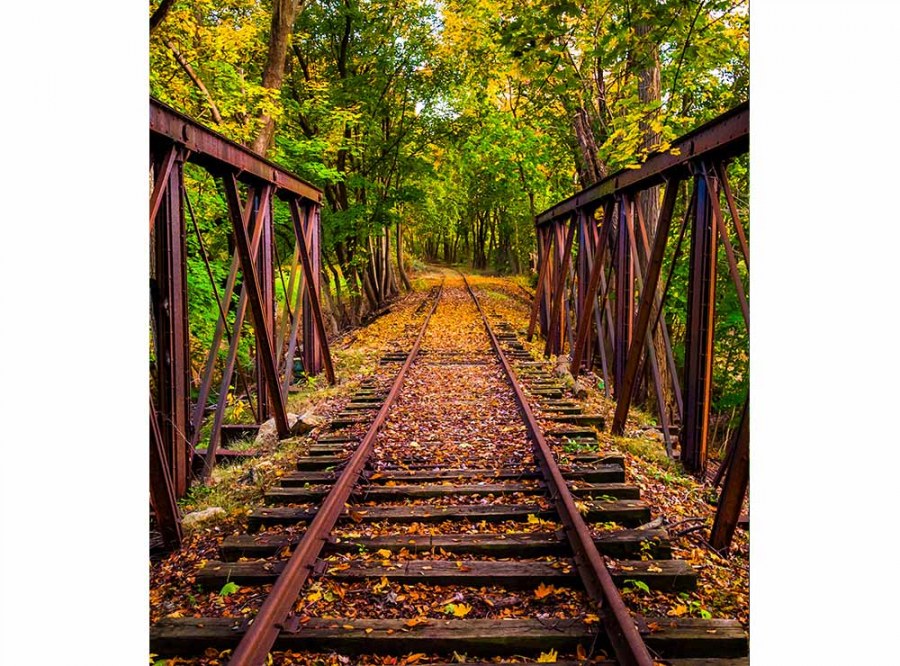 Flis foto tapeta Željeznica u šumi MS30055 | 225x250 cm - Od flisa