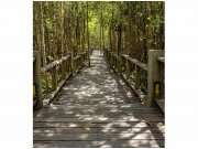 Flis foto tapeta Mangrovska šuma MS30059 | 225x250 cm Od flisa