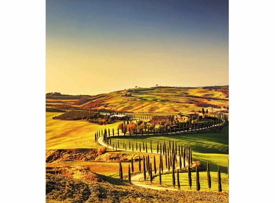 Flis foto tapeta Toskana MS30070 | 225x250 cm - Od flisa