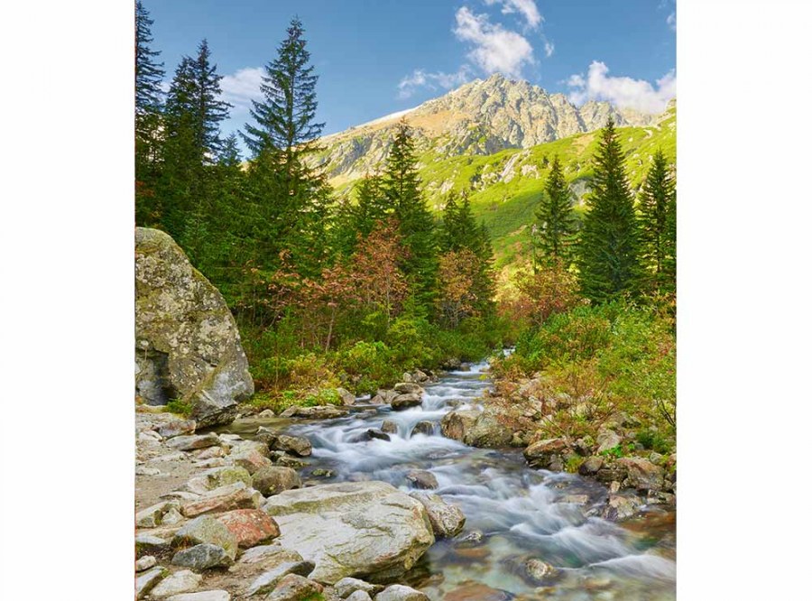 Flis foto tapeta Dolina MS30077 | 225x250 cm - Od flisa