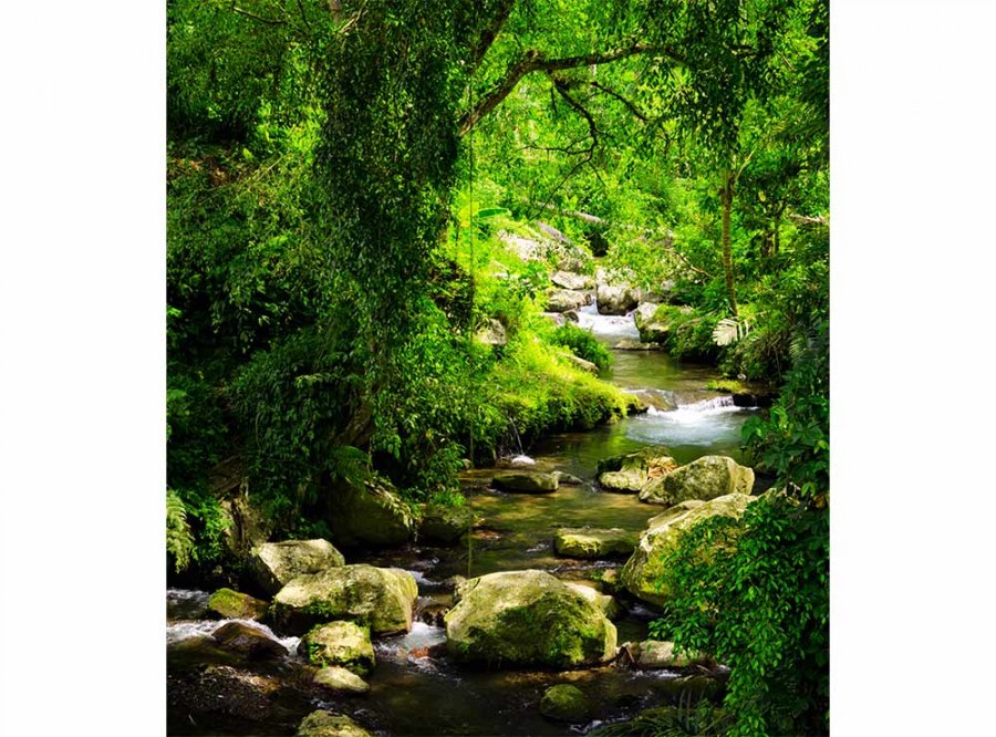 Flis foto tapeta Planinski potok MS30079 | 225x250 cm - Od flisa