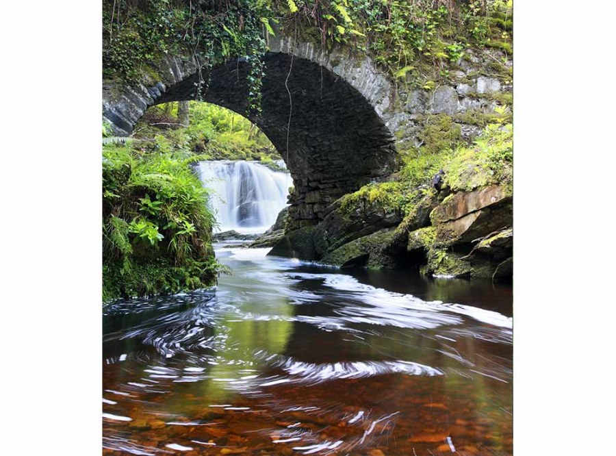 Flis foto tapeta Irska MS30081 | 225x250 cm - Od flisa