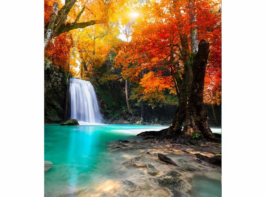 Flis foto tapeta Slap usred šume MS30083 | 225x250 cm - Od flisa