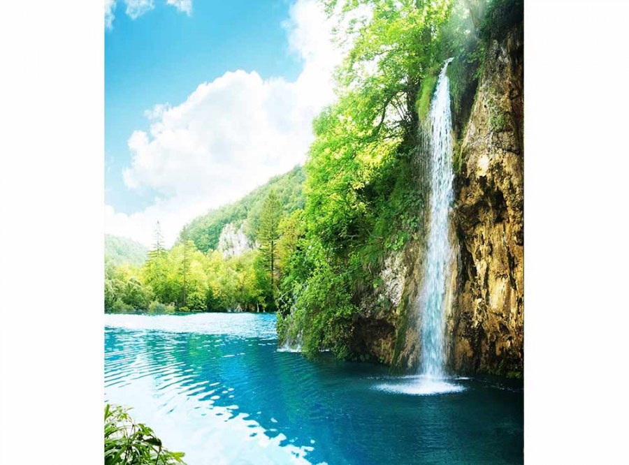 Flis foto tapeta Relax u šumi MS30085 | 225x250 cm - Od flisa