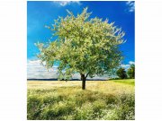 Flis foto tapeta Stablo na lovca MS30096 | 225x250 cm Od flisa
