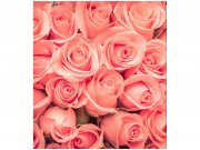 Flis foto tapeta Ruža MS30133 | 225x250 cm Od flisa